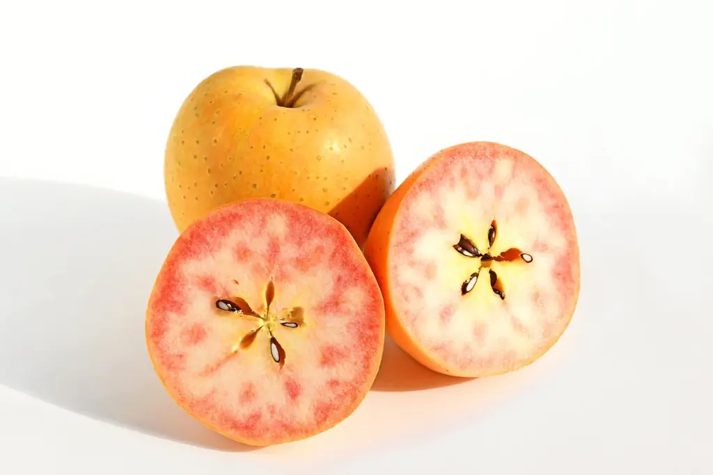 長野県が誇る希少な赤い果実のりんご 『信州産赤い果実のアップルパイ』発売 画像 2