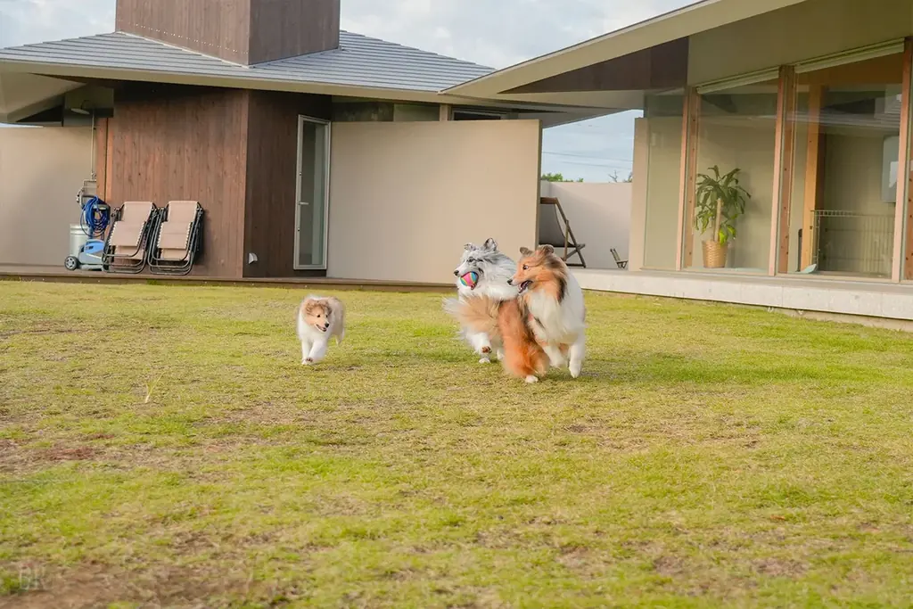 【千葉のペット同伴旅】愛犬との「最高」を更新する。千葉・匝瑳の『NAGARAMI RESORT SOSA』が6月に進化。国内最高峰のドッグファーストを体現した1棟限定ヴィラ《Grande》が誕生。 画像 2