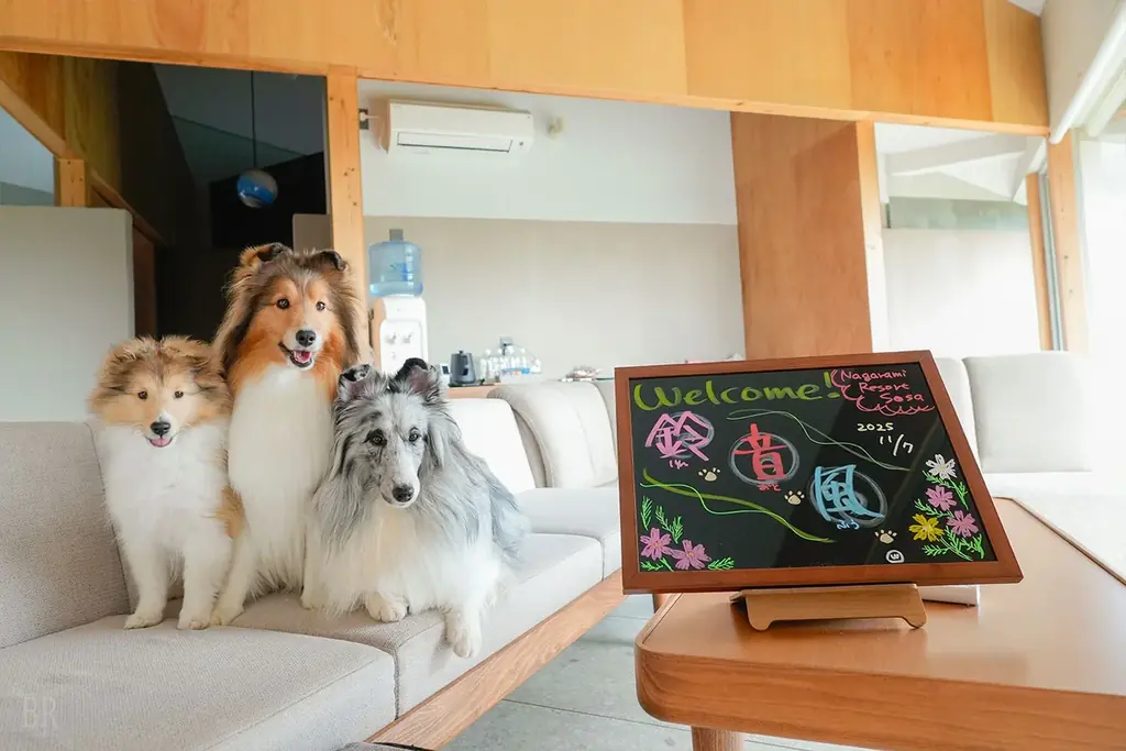 【千葉のペット同伴旅】愛犬との「最高」を更新する。千葉・匝瑳の『NAGARAMI RESORT SOSA』が6月に進化。国内最高峰のドッグファーストを体現した1棟限定ヴィラ《Grande》が誕生。 画像 22