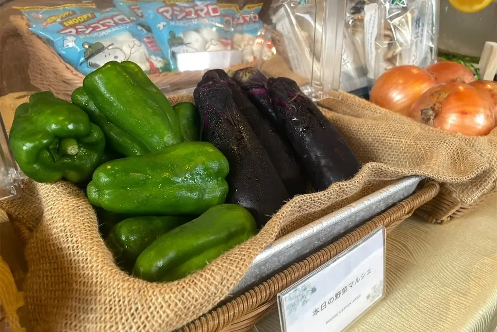 【淡路島】小学生以下無料＆“幻の肉”淡路ビーフBBQも15%OFF！“Googleクチコミ★4.9”のオーシャンビューグランピング「ブリーズガーデン淡路」が『2大初夏旅キャンペーン』を実施中 画像 11