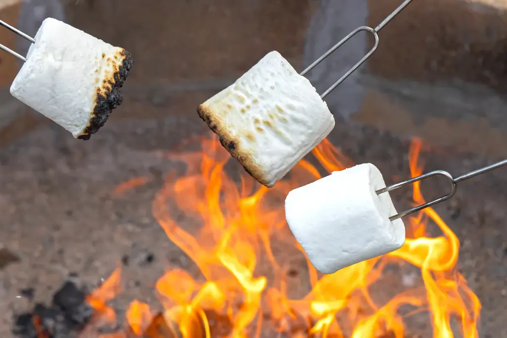 【淡路島】小学生以下無料＆“幻の肉”淡路ビーフBBQも15%OFF！“Googleクチコミ★4.9”のオーシャンビューグランピング「ブリーズガーデン淡路」が『2大初夏旅キャンペーン』を実施中 画像 13