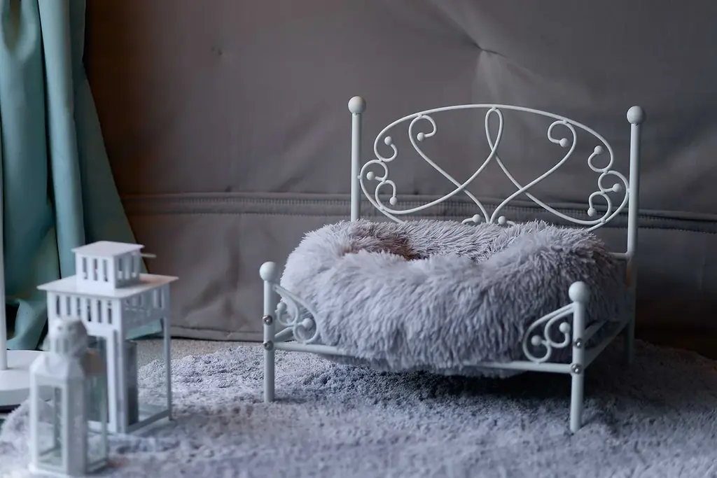 【淡路島】小学生以下無料＆“幻の肉”淡路ビーフBBQも15%OFF！“Googleクチコミ★4.9”のオーシャンビューグランピング「ブリーズガーデン淡路」が『2大初夏旅キャンペーン』を実施中 画像 17