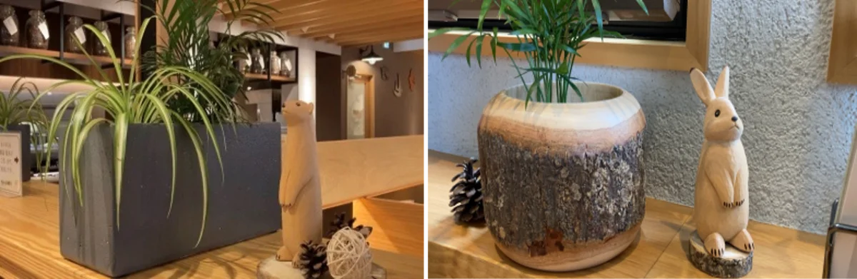 むさしの森珈琲に初夏の爽快“個性派ドリンク”が勢揃い！『チョコミントラテ』や『レモン珈琲ソーダ』が登場 ～4/23（木）から抹茶パンケーキが復活&新作フードも～ 画像 16