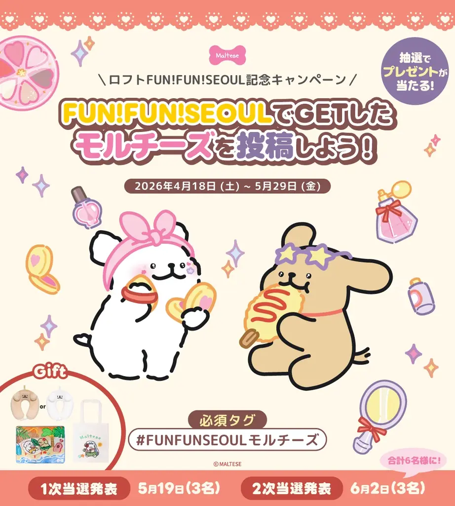 モルチーズ、ロフトの「ロフト FUN!FUN!SEOUL 2026SS」「Kコスメフェスティバル」のメインビジュアルに選定 画像 11