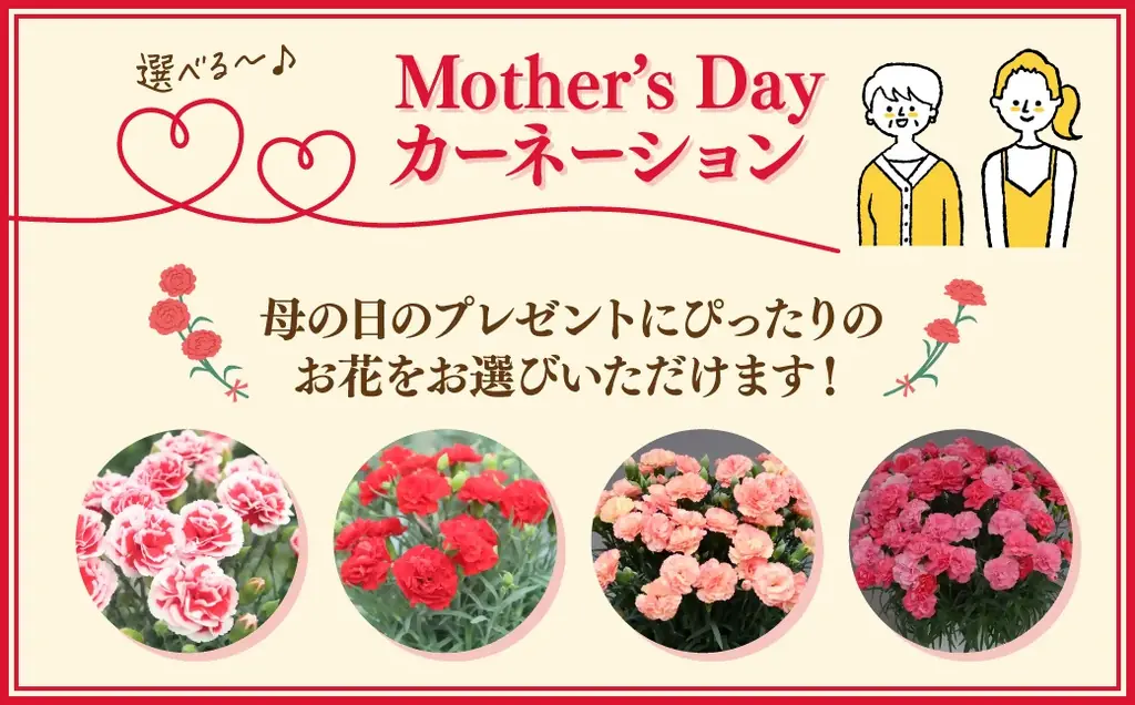 母の日カーネーション受付