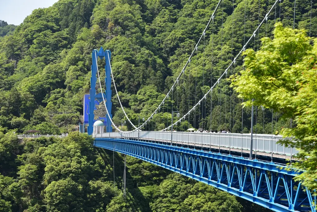 【茨城県常陸太田市】新色登場！母の日カーネーション！ 画像 4