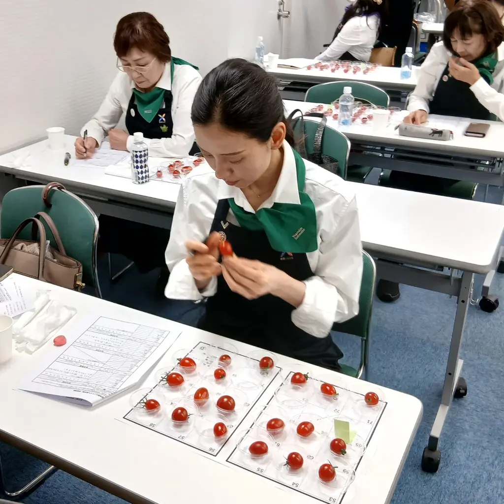 ミニトマト日本一が決定！東京都府中市「さわとまと柔/澤藤園」が最高金賞を受賞！ 画像 13