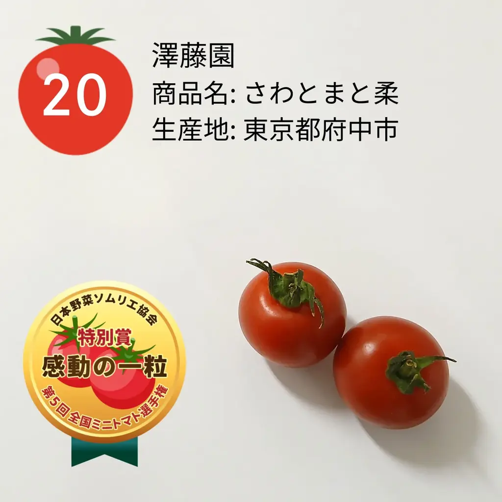 ミニトマト日本一が決定！東京都府中市「さわとまと柔/澤藤園」が最高金賞を受賞！ 画像 9