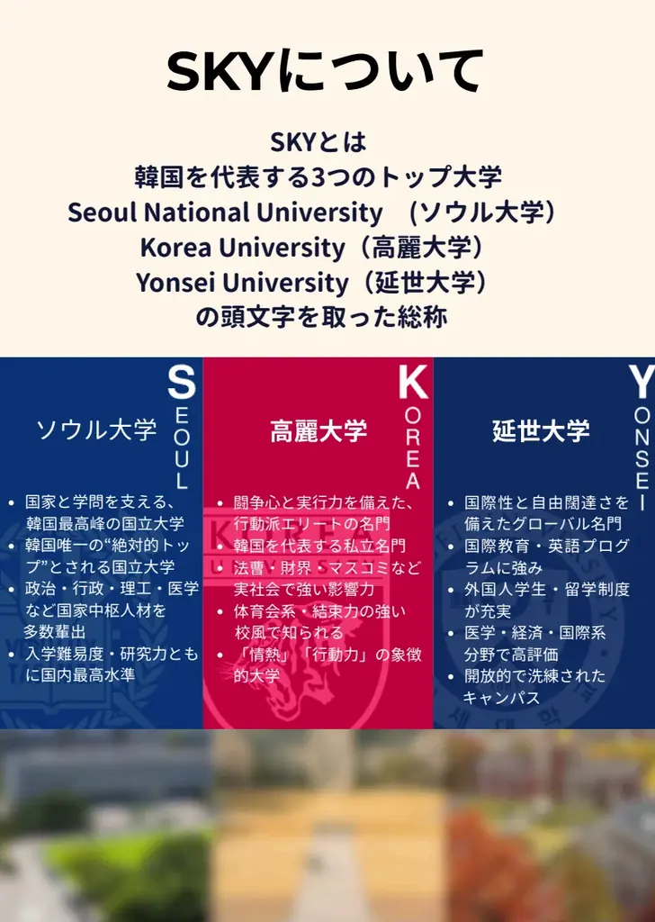 【2027年4月誕生へ】「韓国が好き」だけでいい。日本の通信制サポート校20年の実績校が、K-POP世代のための韓国に特化した高校を横浜に開校。 画像 7