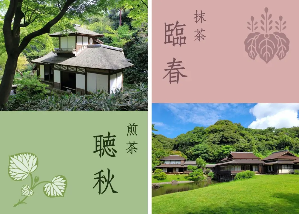 【三溪園開園120周年記念】横浜・三溪園オリジナルのお茶を開発・提供 画像 2