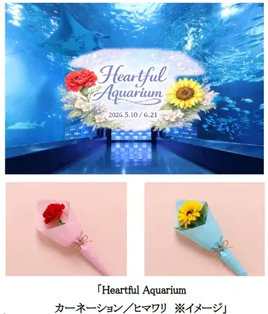 「クラゲ×花」で、生きものを新たな視点から楽しむ幻想的癒し空間へ！ 日比谷花壇、『マクセル アクアパーク品川』の空間装飾をプロデュース。 画像 10