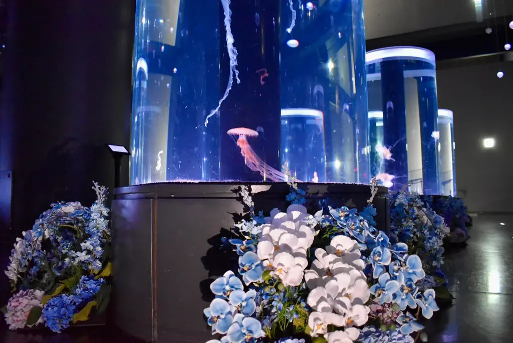 「クラゲ×花」で、生きものを新たな視点から楽しむ幻想的癒し空間へ！ 日比谷花壇、『マクセル アクアパーク品川』の空間装飾をプロデュース。 画像 5