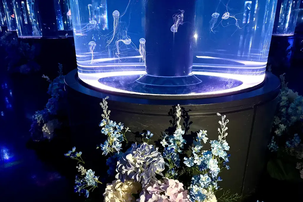 「クラゲ×花」で、生きものを新たな視点から楽しむ幻想的癒し空間へ！ 日比谷花壇、『マクセル アクアパーク品川』の空間装飾をプロデュース。 画像 6