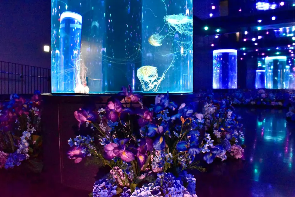 「クラゲ×花」で、生きものを新たな視点から楽しむ幻想的癒し空間へ！ 日比谷花壇、『マクセル アクアパーク品川』の空間装飾をプロデュース。 画像 8