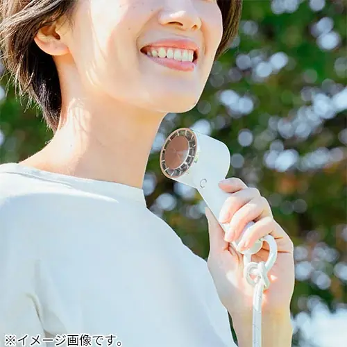 好評展開中　ハンズのハンディファン2026 画像 3