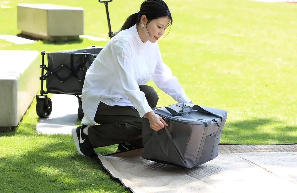 【大ヒットにつき再入荷！】猛暑のレジャーも買い物もこれひとつ！カゴごとすっぽり入る本格保冷のクーラーバッグ 画像 7