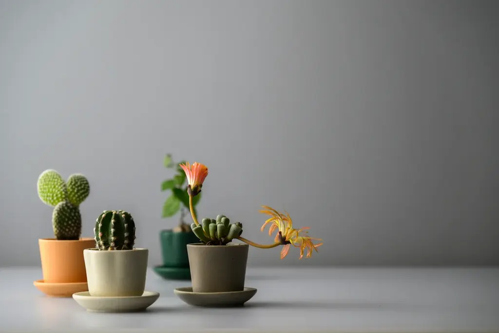 池袋ロフト•吉祥寺ロフト•横浜ロフト POP UPを３店舗同時開催。伝統技法×最新トレンドで”美濃焼”をアップデート『miBRAND』4/27(月)より順次スタート 画像 6