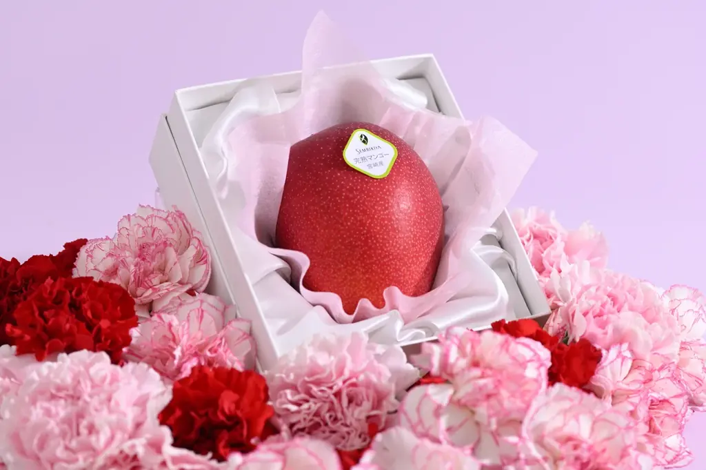 母の日マンゴーギフト