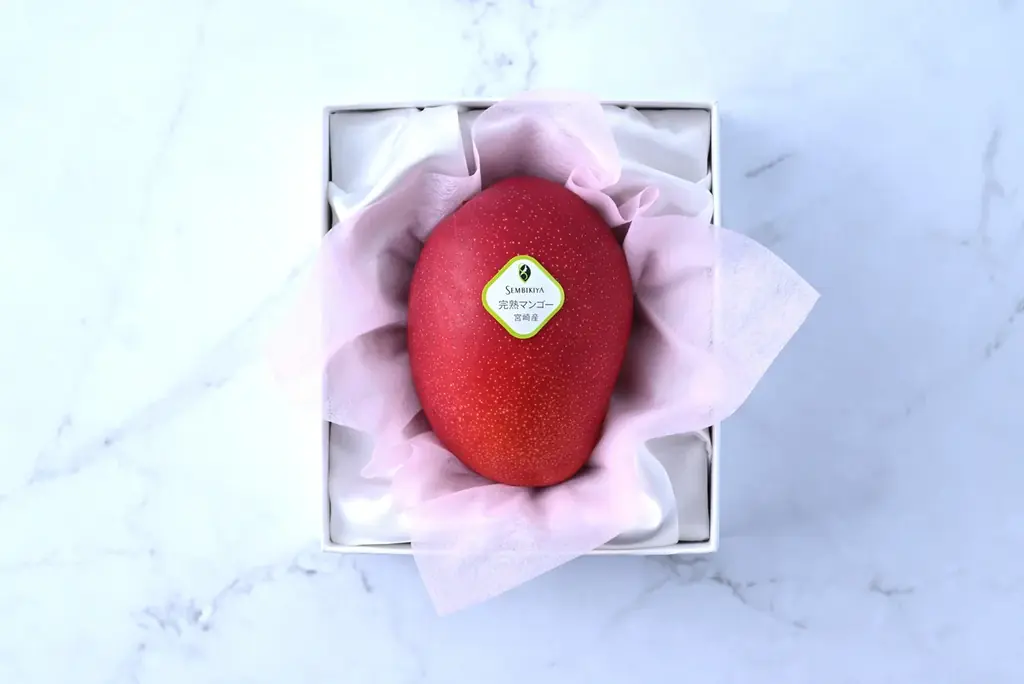 母の日限定ギフト 発売のお知らせ 画像 3