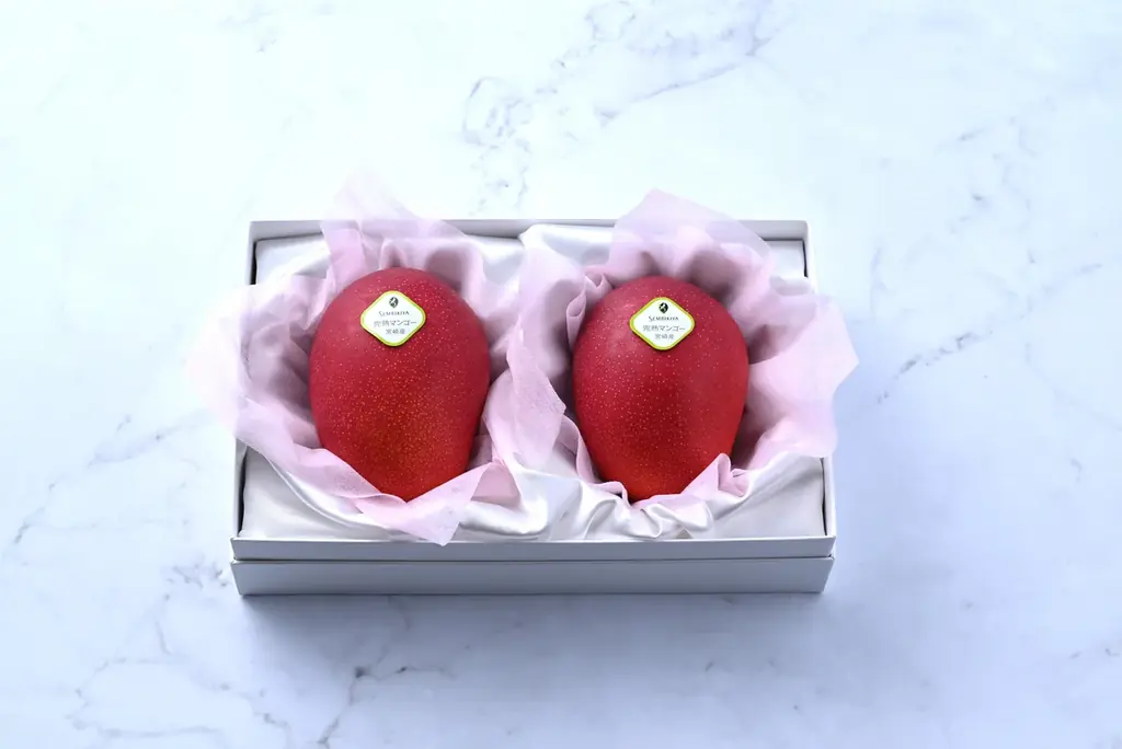 母の日限定ギフト 発売のお知らせ 画像 4