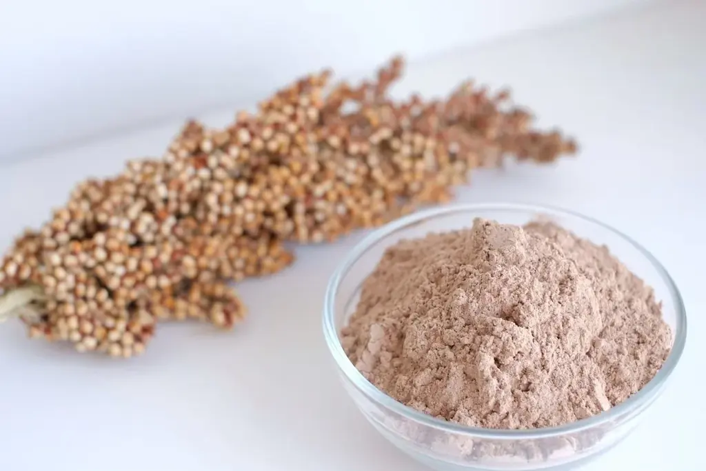 信州・須坂から「クリーンジャンキー」な食体験を。“SORGAM”のローンチパーティを開催。 画像 4