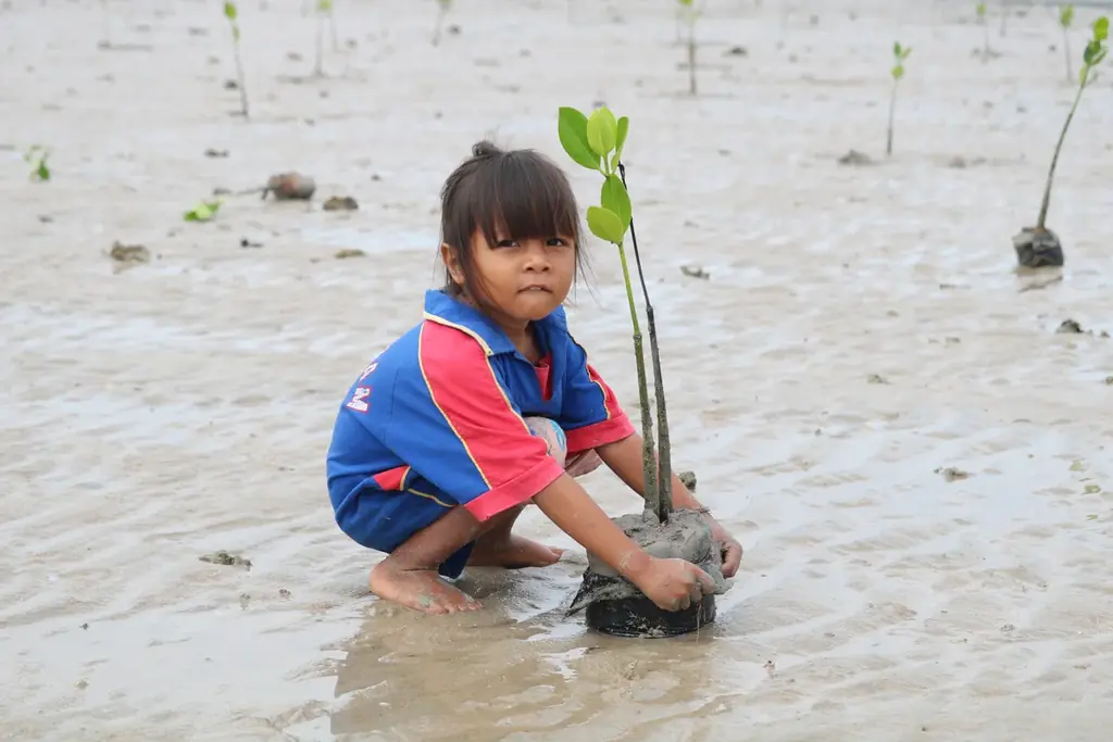 [クラウドファンディング開始] 40年の絆を未来へ。インドネシアのスンバ島「水・緑・人」の支援を止めない 画像 3