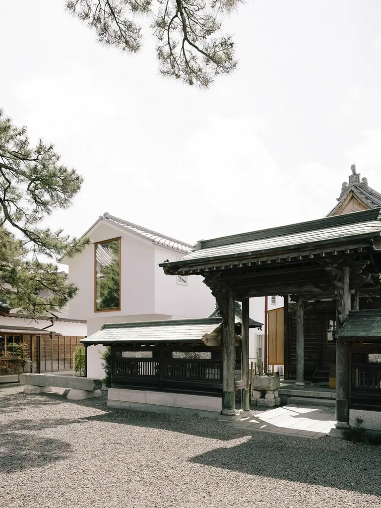 東海道藤枝宿の日本遺産構成文化財「久遠の松」を望む一棟貸しの宿、大慶寺貸別荘「観松蔵（かんしょうぞう）」誕生 画像 3