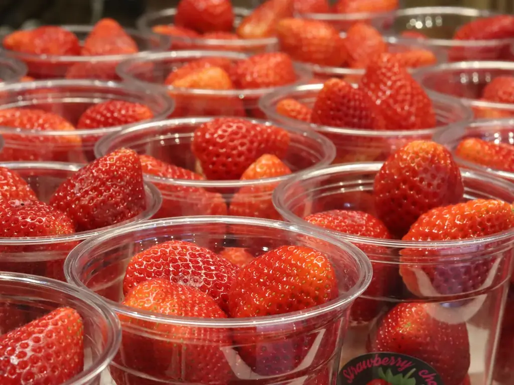 【長崎】究極の苺スイーツ。ストロベリーチョコ 専門店「Strawberry choco」がDEJIMA博に出店！2026年5月2日〜2026年5月6日 画像 3