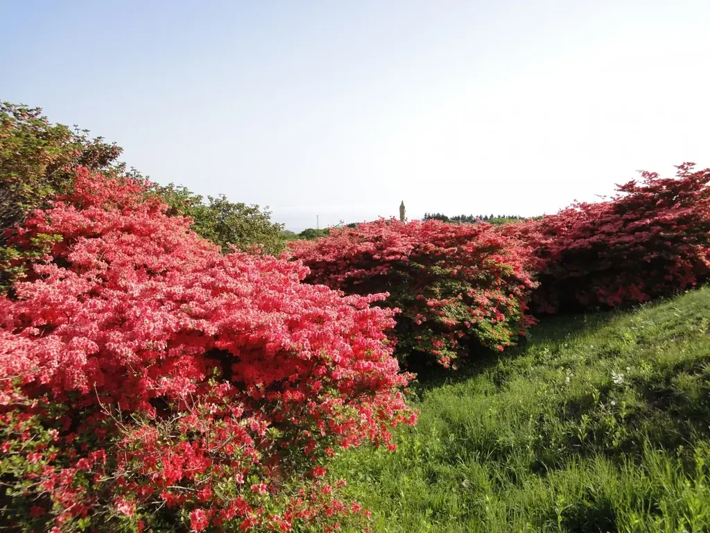 【湯の川温泉／HAKODATE　海峡の風】5月の旅行は函館へ！10周年限定イベントを開始いたします！ 画像 5