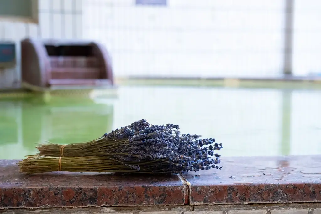 「魅力度ランキング」17年連続1位の北海道が、最下位の埼玉にやってくる！　埼玉県＆三重県のおふろcafeや玉川温泉、武甲温泉、オーパークおごせにて「北海道フェア 2026」を開催します 画像 7