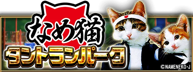日本で大ブームを巻き起こしたあの猫が単車の虎に！『単車の虎』×『なめ猫～なめんなよ～』コラボイベントが開幕！ 画像 2