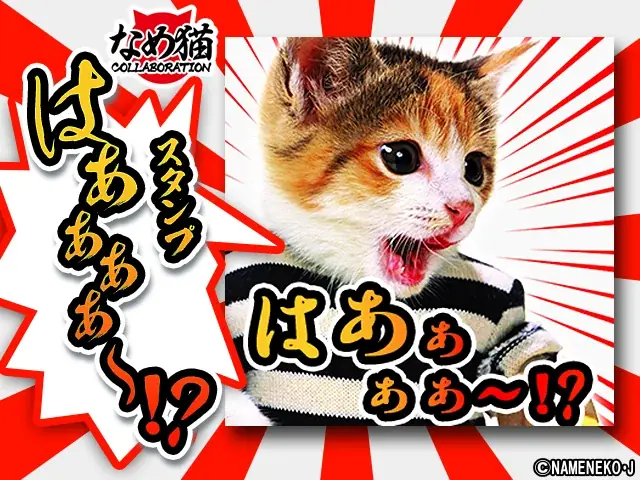 日本で大ブームを巻き起こしたあの猫が単車の虎に！『単車の虎』×『なめ猫～なめんなよ～』コラボイベントが開幕！ 画像 6