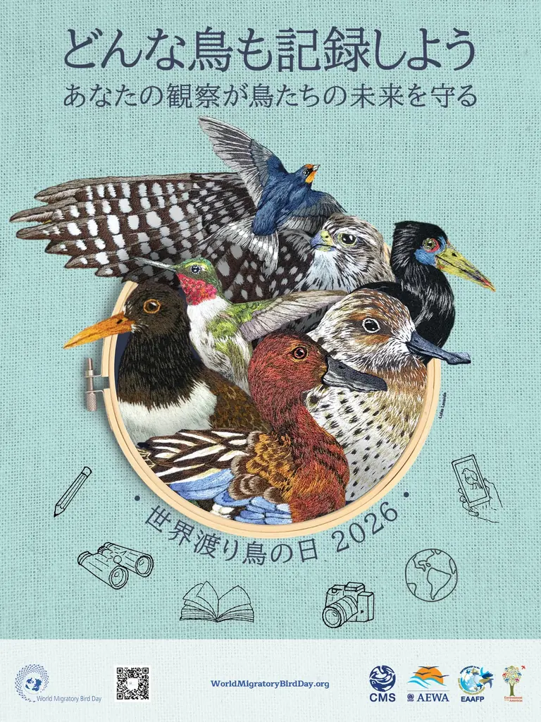 5月9日は「世界渡り鳥の日」どんな鳥も記録しよう―あなたの観察が鳥たちの未来を守る 画像 1