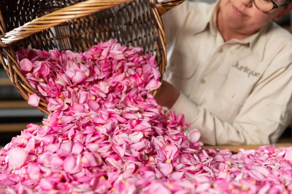 【ホテルコラボレーションプラン】オーガニックコスメブランド＜ジュリーク＞と、富士の眺望を誇るサウナ＆リトリート ＜GEN.＞による取り組み第2章を展開中！ 画像 15