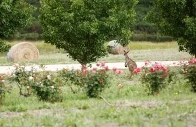 【ホテルコラボレーションプラン】オーガニックコスメブランド＜ジュリーク＞と、富士の眺望を誇るサウナ＆リトリート ＜GEN.＞による取り組み第2章を展開中！ 画像 16