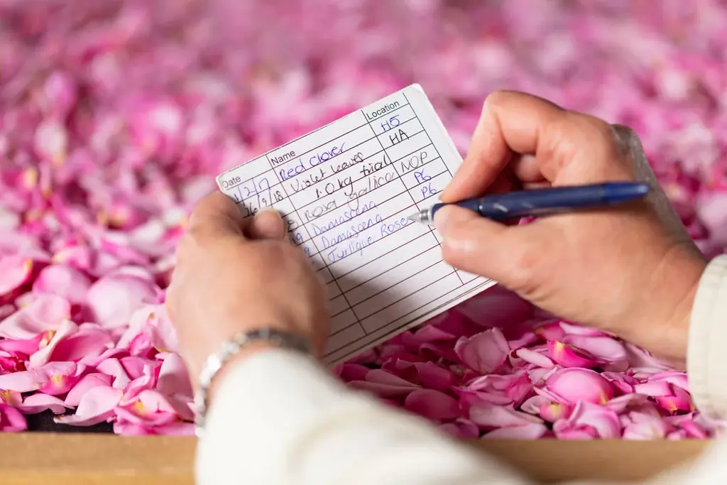 【ホテルコラボレーションプラン】オーガニックコスメブランド＜ジュリーク＞と、富士の眺望を誇るサウナ＆リトリート ＜GEN.＞による取り組み第2章を展開中！ 画像 18