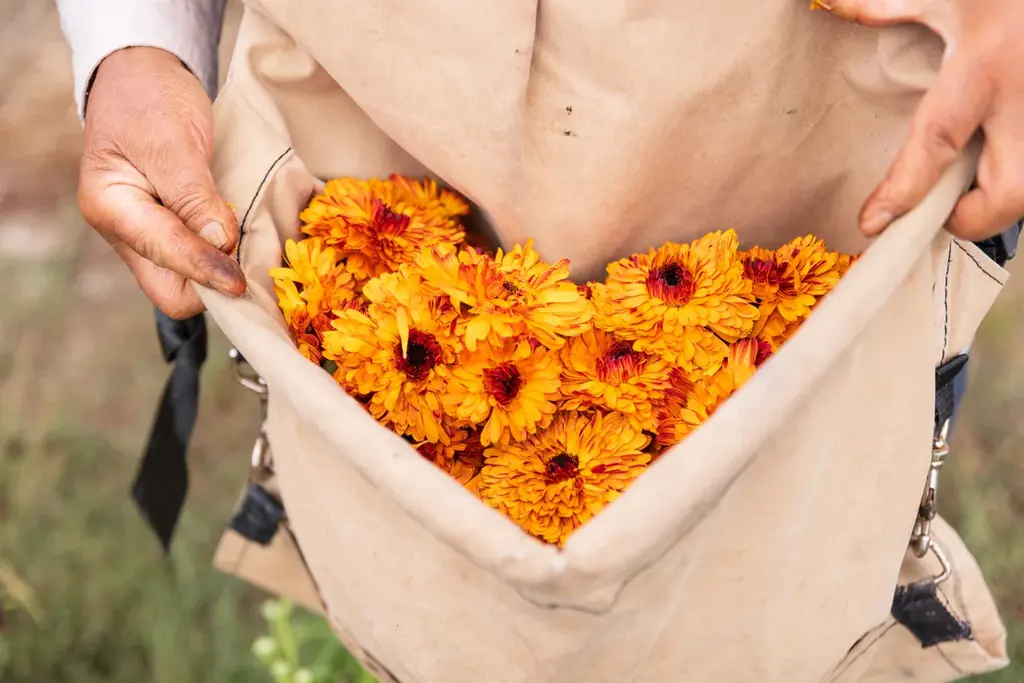 【ホテルコラボレーションプラン】オーガニックコスメブランド＜ジュリーク＞と、富士の眺望を誇るサウナ＆リトリート ＜GEN.＞による取り組み第2章を展開中！ 画像 27
