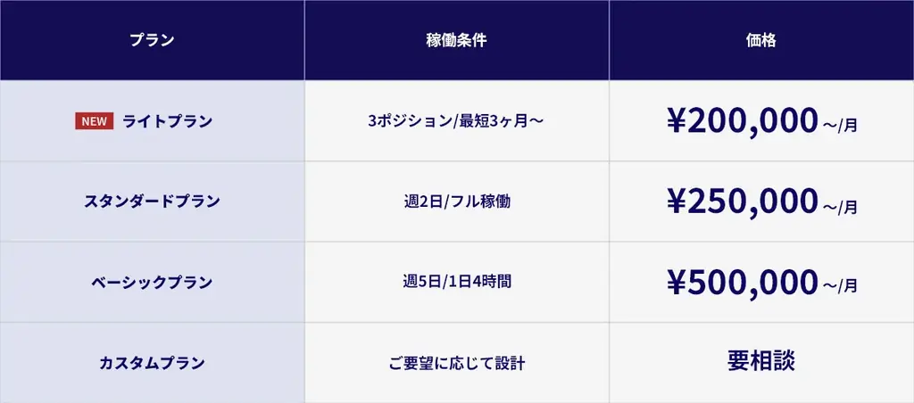 ダイレクトリクルーティングの切り札。両面型コンサルタント×RPO設計の専門家が監修。すぐに稼働が可能なスカウト代行ライトプラン開始。 画像 3