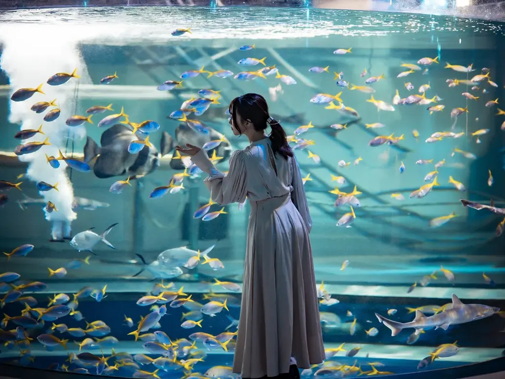 《周年企画》アトア×てっちゃん工房①オリジナルのちくわやかまぼこを作ろう！「てっちゃん工房」体験チケットをアトアにて販売開始します 画像 7