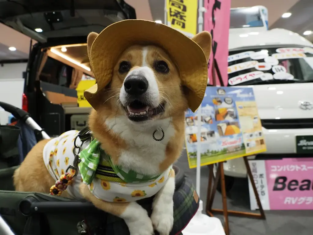 人気芸人＆静岡のスターがステージに大集合！ふじのくにキャンピングカー＆アウトドアショー2026開催決定！ 画像 13