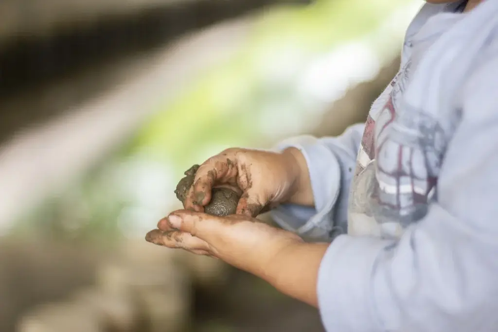 【千葉県柏市】イベント「カシニワ・フェスタ2026」を開催！ 画像 4
