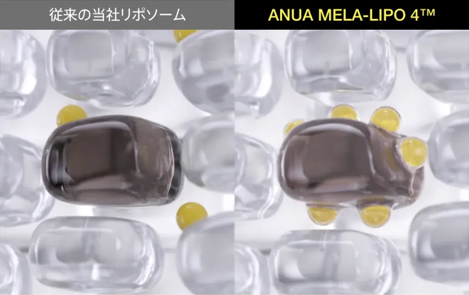 Anua、夏のブライトニング*¹ケアに向けたビタミンミストが登場 シュッとひと吹きで、軽やかにうるおいを与えツヤめく透明感*²のある肌印象へ 「ビタC グルタチオンカプセルミスト」新発売 画像 3