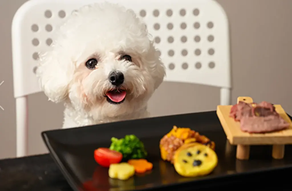 「愛犬と話してみたい」その夢、実現しました。Besties Tokyo「愛犬と叶えたい夢」プロジェクトを5月末まで延長〜今年は“日常を一緒に楽しみたい”応募が増加〜 画像 3