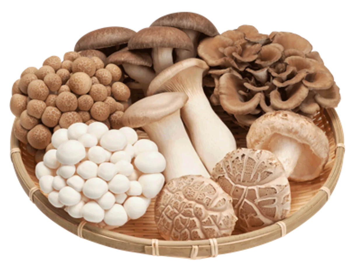 5月24日は「菌活の日」！今もなお、更に注目を集める「菌活」でもっと健康に、もっとキレイに。お陰様で10周年。「菌活の日カウントダウンキャンペーン」当選数を拡大し今年も開催！ 画像 2