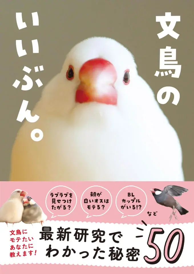5月2日発売『文鳥のいいぶん。』研究でわかる50のヒミツ