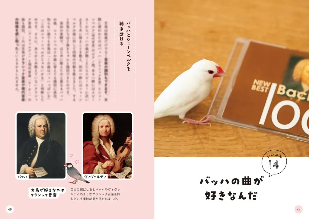 文鳥にモテたい人にオススメ 最新研究でわかった50のヒミツを可愛い写真とともに解説した『文鳥のいいぶん。』が発売 画像 4