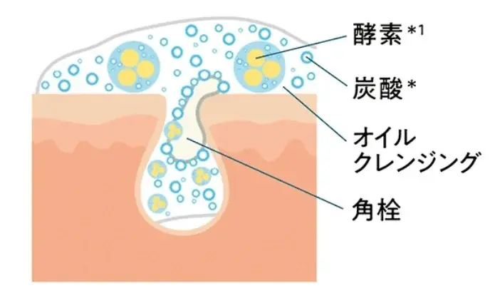 ＼新登場／繰り返す角栓悩みに対策を！炭酸*オイルクレンジング 画像 3