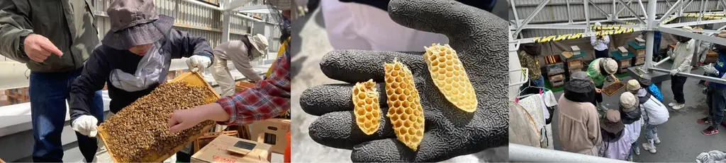 “さっぱち”プロジェクト生まれの百花蜜を、スイーツとパンで味わう 画像 2