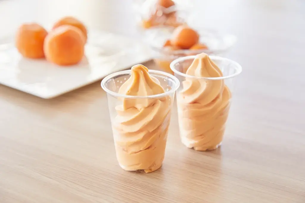 初夏限定の“太陽の果実”あんずをスイーツで。長野のホテルビュッフェで「あんずスイーツフェア」開催【メルキュール長野松代リゾート＆スパ】 画像 7