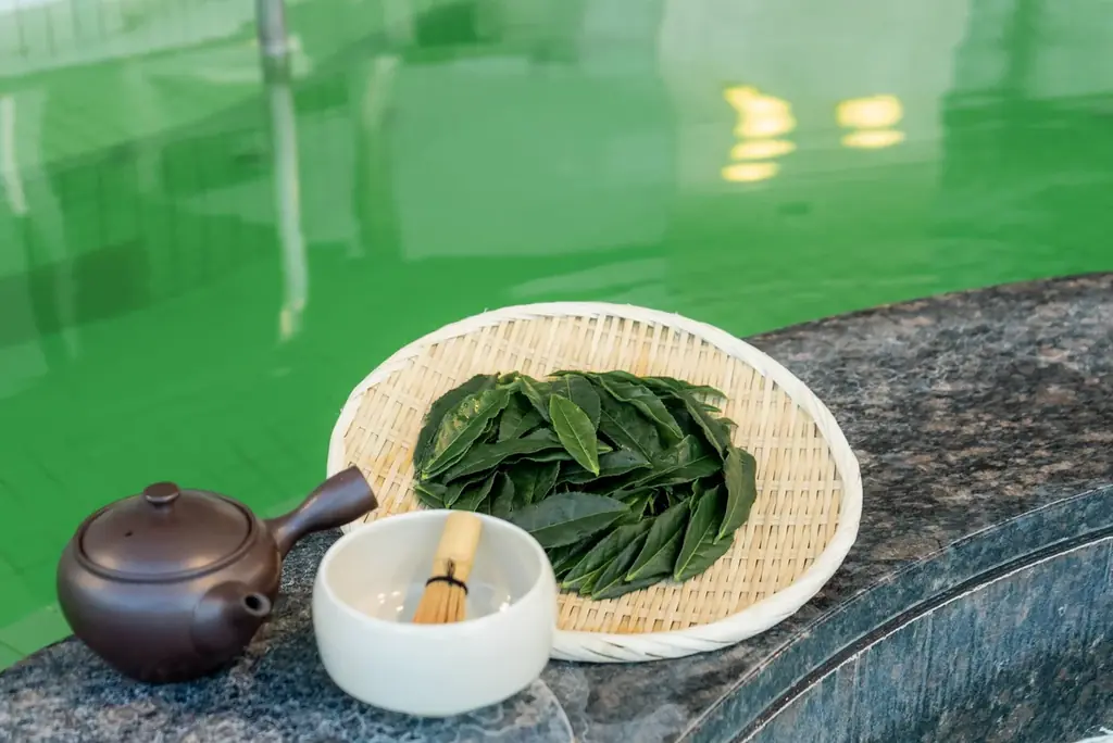 新茶シーズン到来！　おふろcafe utataneにて、埼玉を代表するお茶「狭山茶」を使った創作カフェメニューの提供や、おふろ・サウナイベントを実施します 画像 2